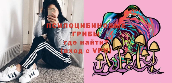 молекула духа Магас